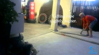 Attack Dog to Relax Dog: Modifying Aggressive Behaviour (DRI)