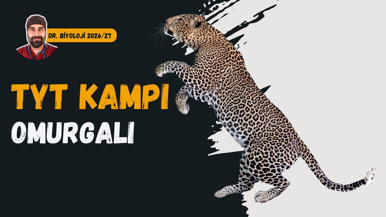 Omurgalılar | Dr. Biyoloji | Dönem 2026 - 2027