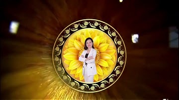 INTRO PHƯỢNG HOÀNG