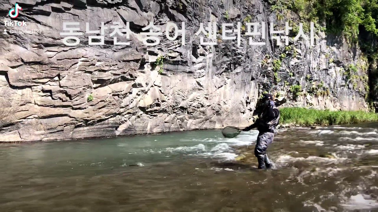 동남천 송어 센터핀낚시