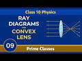 Class 10 Physics | Chapter 1 | Light | Convex Ray Diagrams | Prime Classes