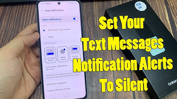 Samsung Galaxy Z Flip 5: How to Set Your Text Messages Notification Alerts To Silent