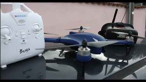 Drone Bugs 3 FPV