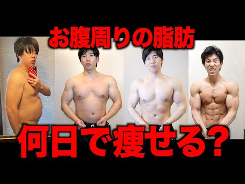 【お腹の脂肪】が溶けて完全に痩せられる日数と方法を教えます(実体験あり)
