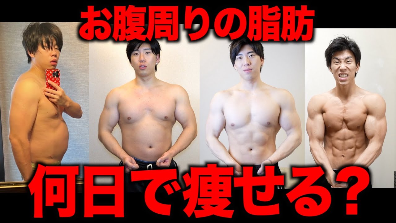 【お腹の脂肪】が溶けて完全に痩せられる日数と方法を教えます(実体験あり)