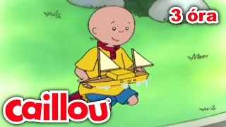 Caillou hajója | Vitorla alatt | Caillou magyar | Rajzfilmek gyerekeknek
