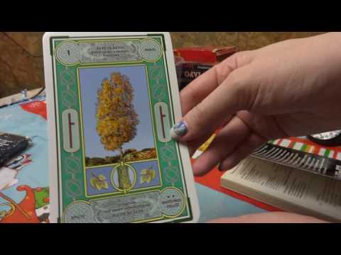 Карты BOOKCLUB Какие: ХВАЛЮ и какие РУГАЮ.2008-2017 1 часть