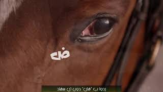 يا ناطقا بالضاد ◄ شعر عن اللغة العربية
