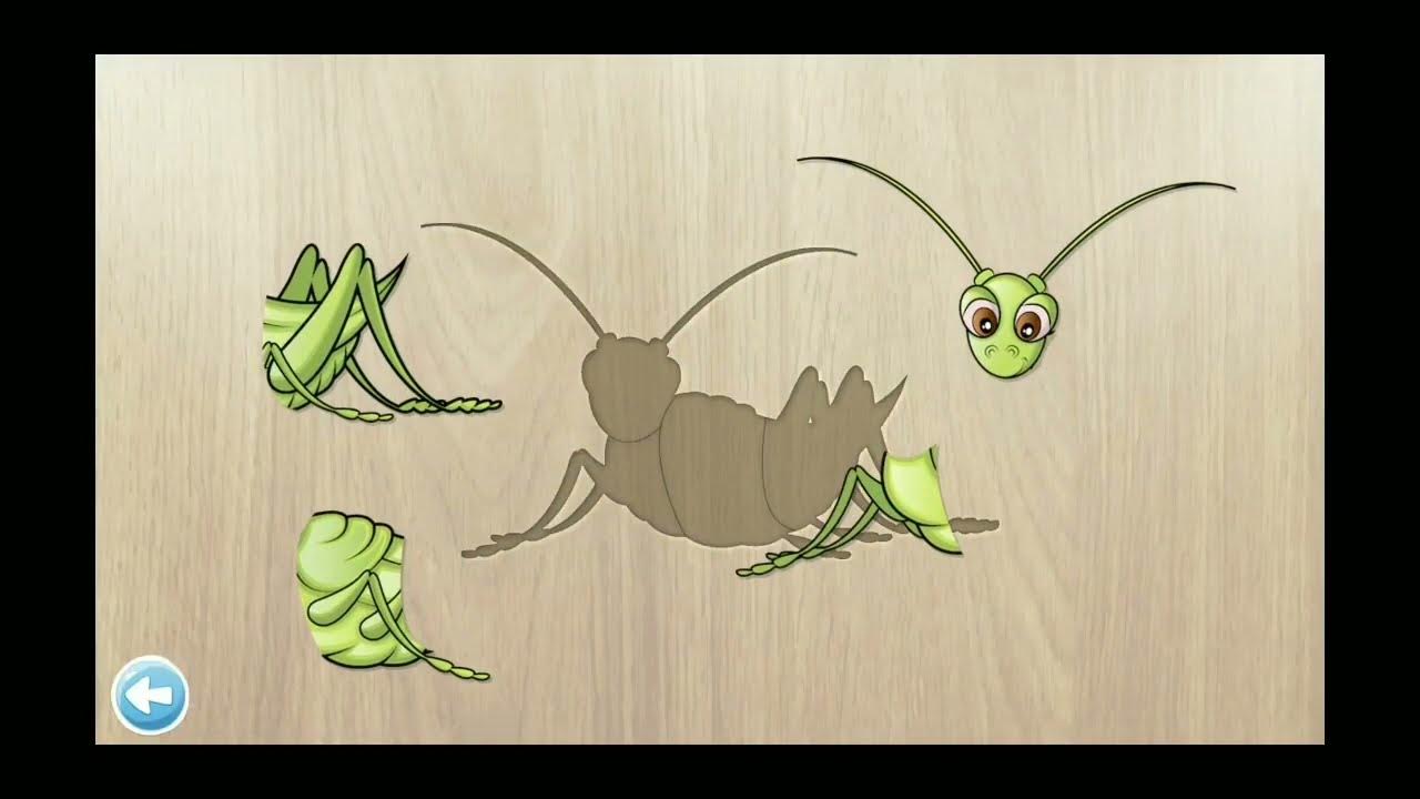 🦗 Grasshopper Puzzle with Animal Name and Sound - 384 Puzzles for Kids