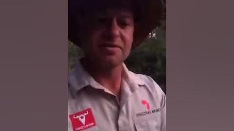 Masai Mara | BGAN HDR