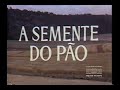 A semente do pão (1970)