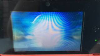 Spoink Evolve Level 32