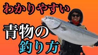【初心者向け】わかりやすい青物の釣り方ルアー編（ショア）