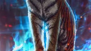 4K UHD Parrot And Lion wallpaper slideshow with Relaxation music screenshot 1