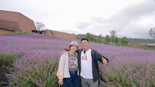 Cùng Chồng Đi Du Lịch Trung Quốc Tham Quan Tượng Phật Di Lặc Khổng Lồ Tuyên Xinh Gái