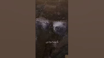 آيه 39-41 من سورة النجم بصوت الشيخ ناصر القطامي #القرآن_الكريم