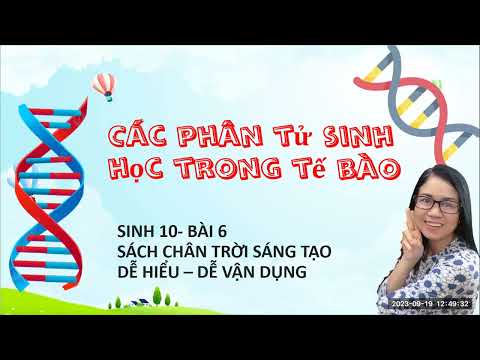 Sinh 10 bài 6- Các phân tử sinh học trong tế bào -CTST - youtube