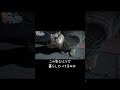 小さな捨て猫が縄張りから追いやられひとりぼっちに #shorts