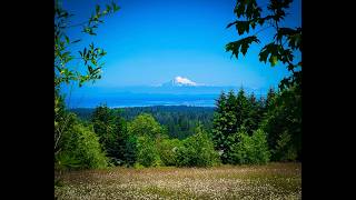 404 Black Bear Trail Property Walk Through