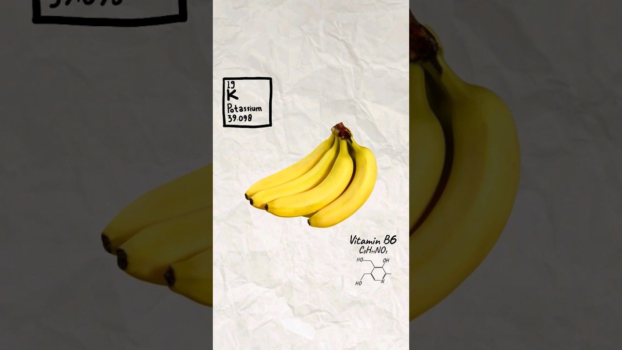 What fruits can German Shepherds Eat? 🤔 (Part 2) 