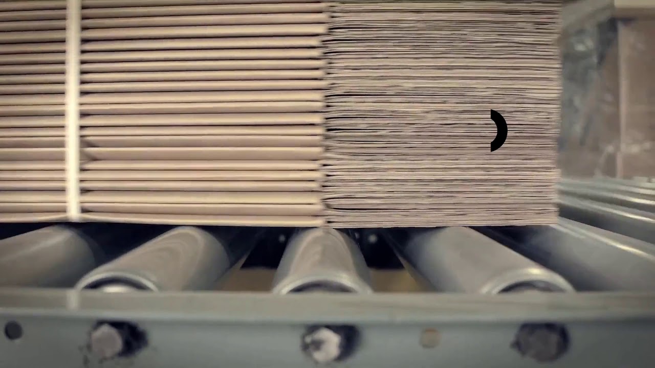 video Live Mockup Video Editing Software