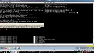 Windows Buffer Overflow Freefloat FTP Server