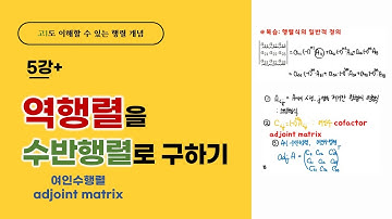 역행렬과 수반행렬 | 역행렬을 행렬식으로 구할 수 있다?