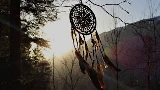 Tribute to Native American Flute & Guitar | Bilateral Music - Heal PTSD, Anxiety, Panic - EMDR screenshot 5