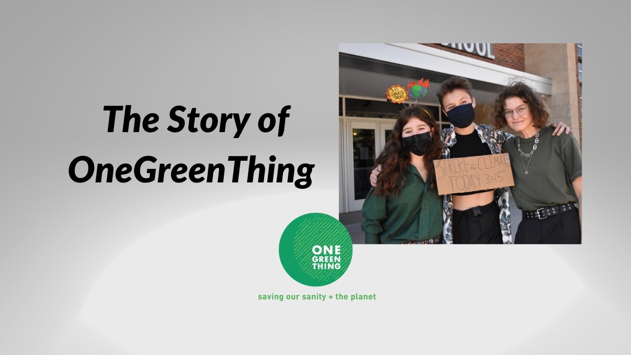 The Inspiration for OneGreenThing, a nonprofit focused on tackling eco-anxiety