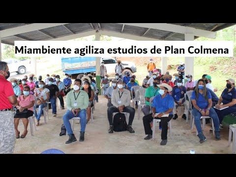 Miambiente continua estudio sobre Plan Colmena que aplicaran comunidades para su desarrollo