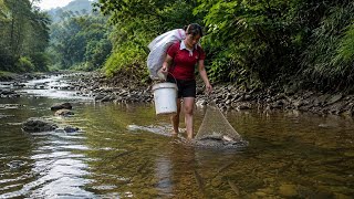 Mud Pond Fishing Adventure | Giant Catch for Kids’ Dinner