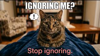 Your Cat Is Secretly Talking To You (And You're Ignoring It)