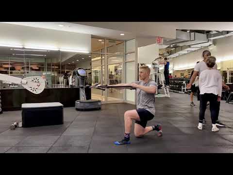 1 arm face pull w/rotation