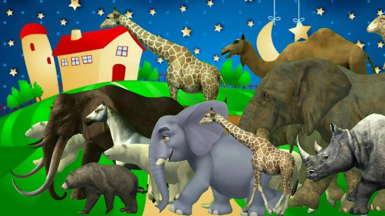 Wildlife Animals Stampede Running Video | Best HD Animals Green Screen | Stampede Green Screen