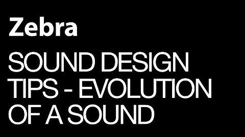 Zebra 2 - Evolution Of a Sounscape Patch