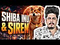 Shiba Inu & Siren