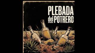 Plebada del potrero   Grupo Acelerado 