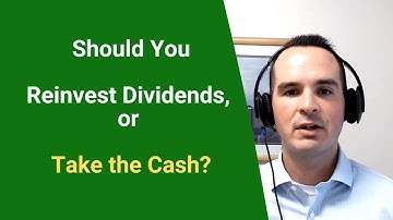 Should You Reinvest Dividends or Take the Cash?