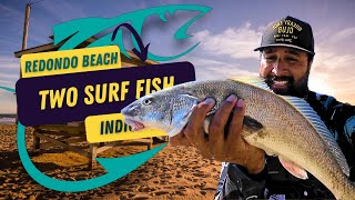 Surf Fishing Double: Corbina & Croaker in Redondo Beach