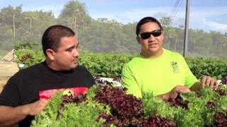 Meet our Local Farmers: Grow Guam