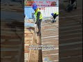My Cat is the Worst Boss!Construction Site Chaos #pvc #diy #pvcfitting #catlovers #cat
