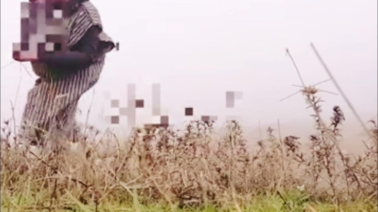 صيد الحسون _ الدنور / على الشوكيات في للطبيعة 2024🤩🔥 - YouTube