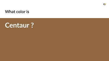 Centaur color #90673f hex color - Orange color - Cool color 90673f