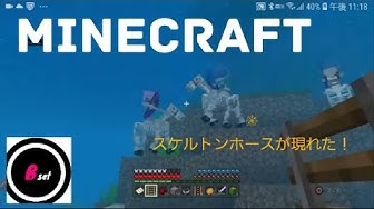 スケルトンホース Youtube