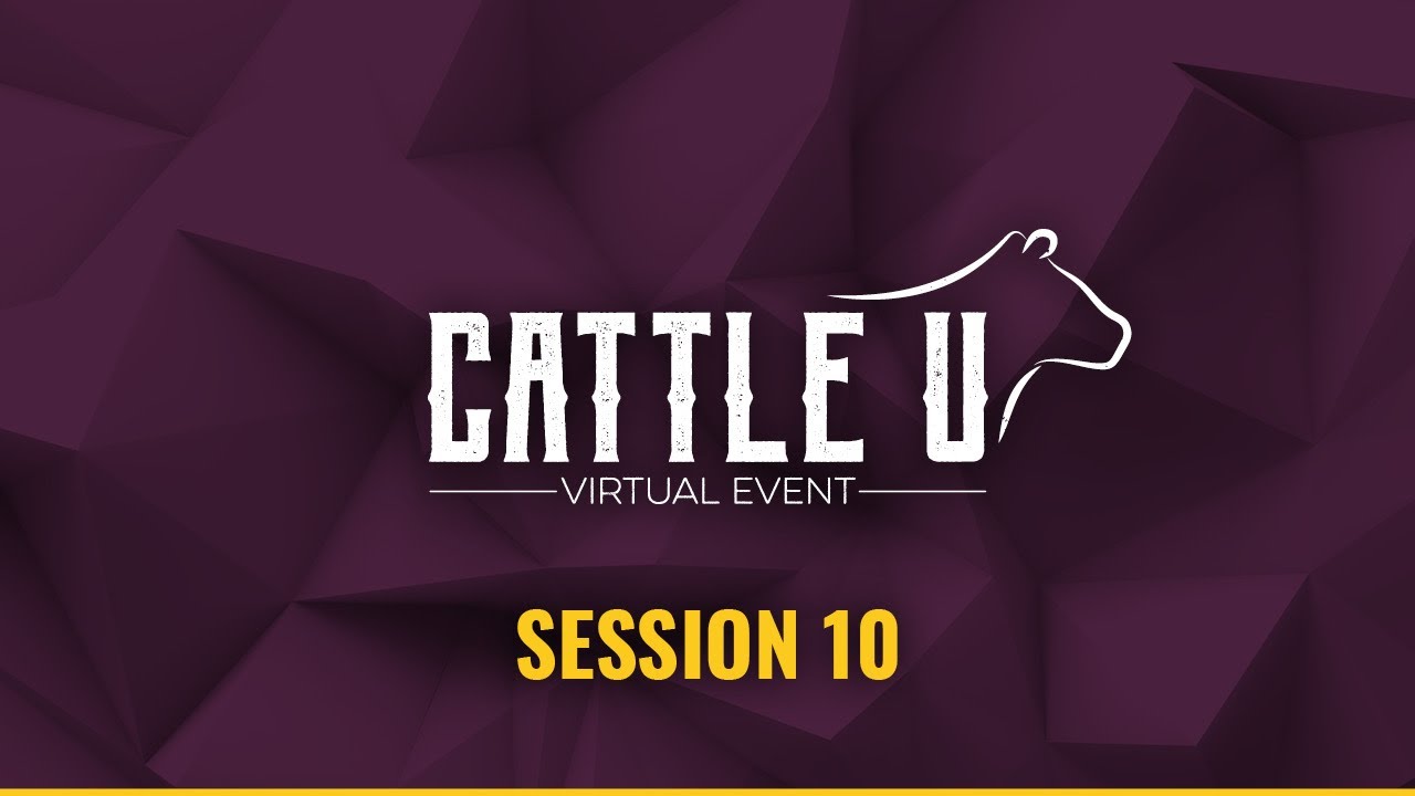 High Plains Journal Cattle U, September 11 2020 12pm Sessions