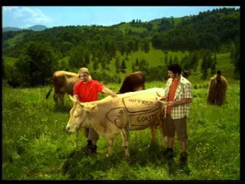 Bergenbier, The cow, 2005