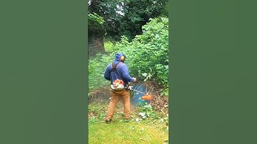 Blackberry Take Over -But Not For Long! #satisfying #backyard #forestrymulcher #stihl #lawn