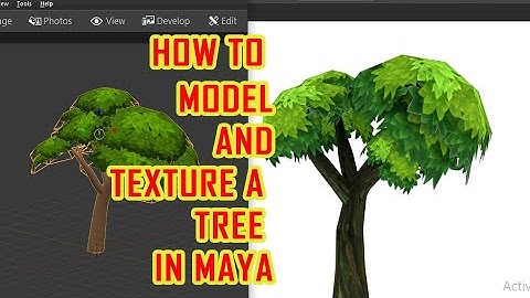 Game Artist | Modeling Body Tree with Autodesk Maya 2017 | Game Design