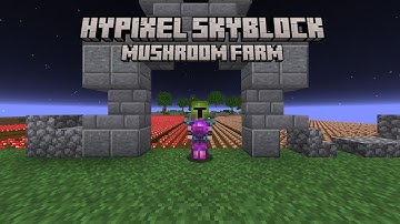 How to Build a Max Efficiency Mushroom Farm in Hypixel Skyblock