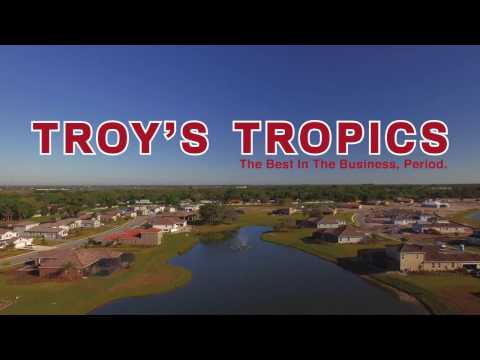 Troy's Tropics | Landscape Division